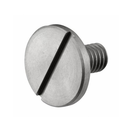 Crank Pin Stop Screw GT22, GF30