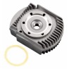 Cylinder Head GT15HZ