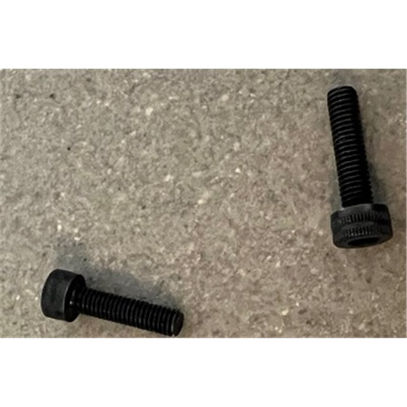 Carb. Body bolts 2 pcs