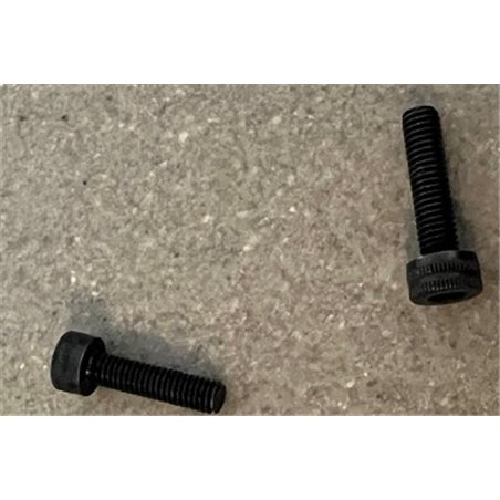 Carb. Body bolts 2 pcs