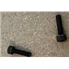 Carb. Body bolts 2 pcs