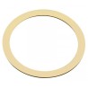 Shims (0.2) GT22
