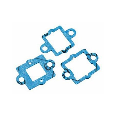Carburettor &amp; Reed Valve Gasket GT22