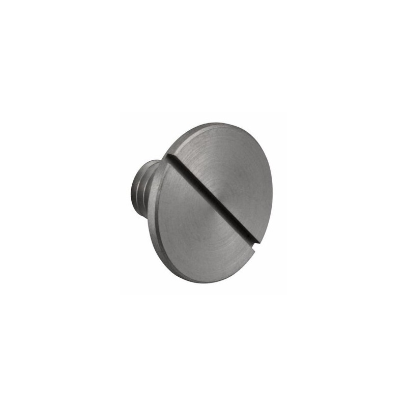 Crank Pin Stop Screw GT60