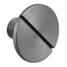 Crank Pin Stop Screw GT60
