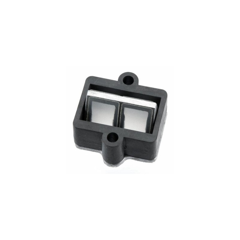 Reed Valve Assembly GT60