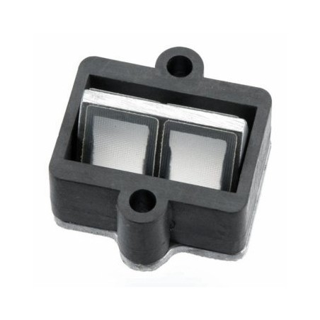 Reed Valve Assembly GT60