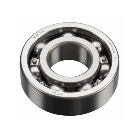 Ball Bearing Rear GT60