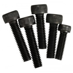 Silencer Fixing Screw 855