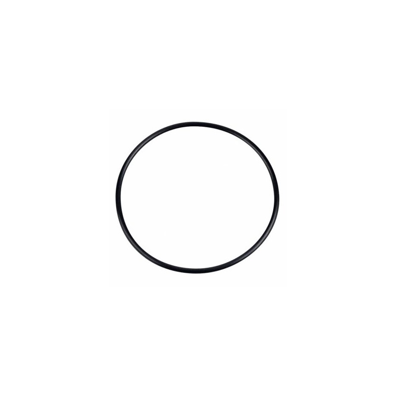 Silencer Gasket (O-Ring) E-5020