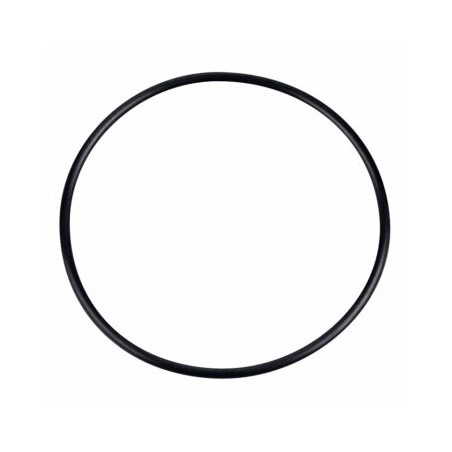 Silencer Gasket (O-Ring) E-5020