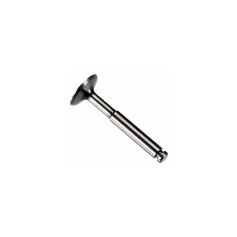 Exhaust Valve FSa-56