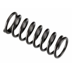 Valve Spring FT160, IL300
