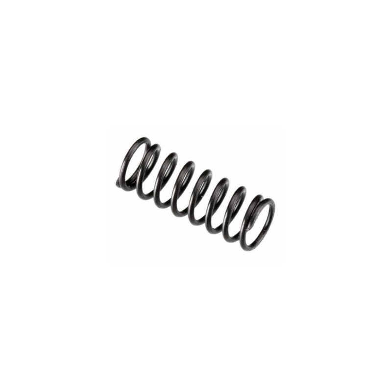 Valve Spring FT160, IL300