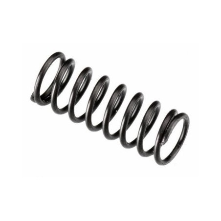 Valve Spring FT160, IL300