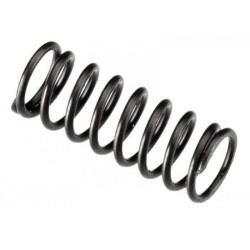 Valve Spring FT160, IL300