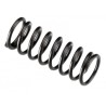 Valve Spring FT160, IL300