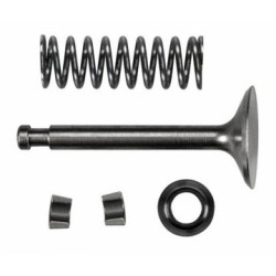 Intake Valve Assembly FS120S3/SE
