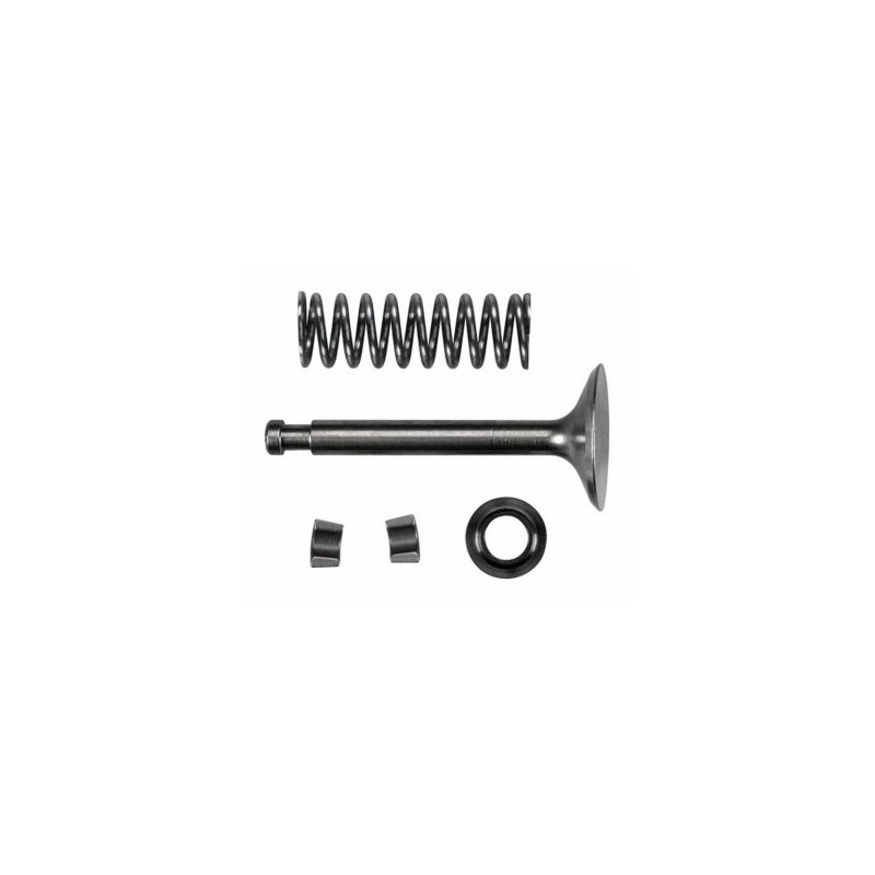 Intake Valve Assembly FS120S3/SE