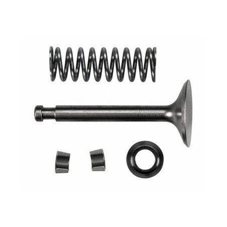 Intake Valve Assembly FS120S3/SE