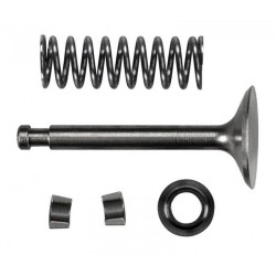 Intake Valve Assembly FS120S3/SE