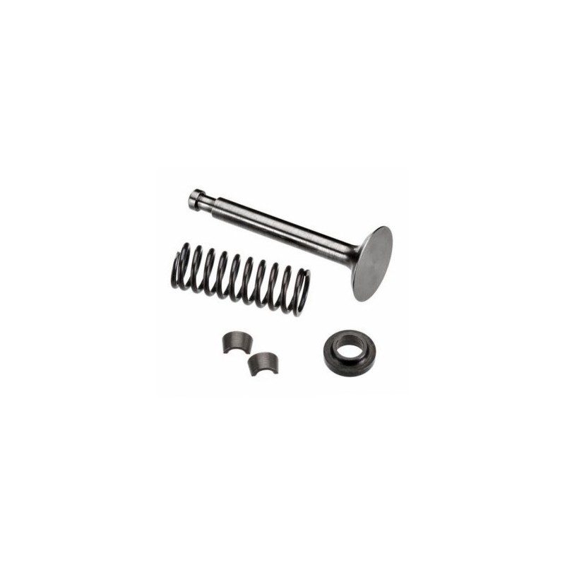 Exhaust Valve Assembly FS120S3