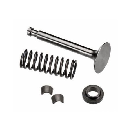 Exhaust Valve Assembly FS120S3