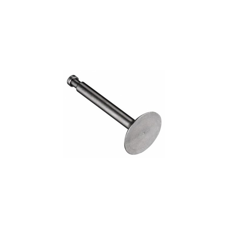 Intake Valve FS120S3/SE
