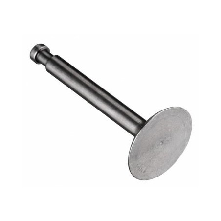 Intake Valve FS120S3/SE