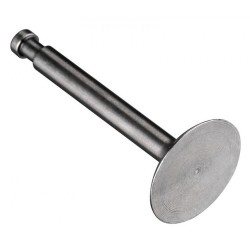 Intake Valve FS120S3/SE