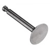 Intake Valve FS120S3/SE