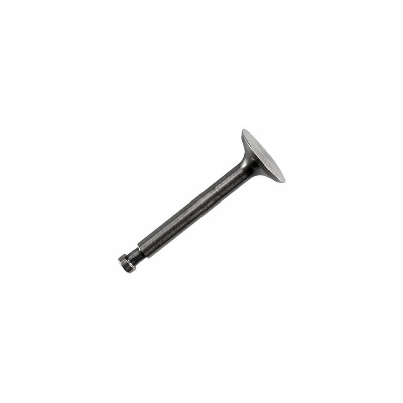 Exhaust Valve FS120S3/SE