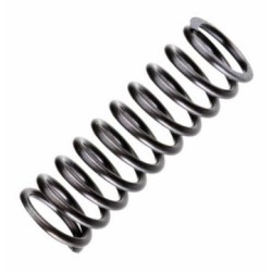Valve Spring FT120S3/SE