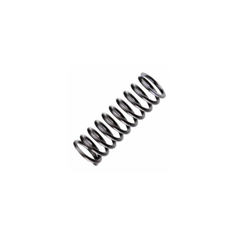 Valve Spring FT120S3/SE