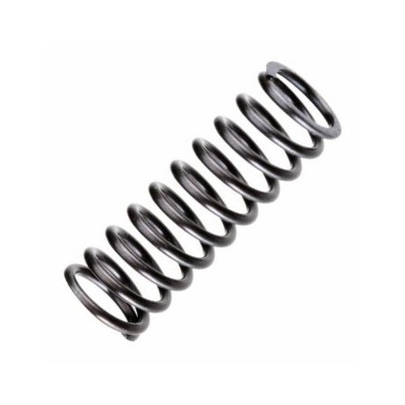 Valve Spring FT120S3/SE