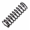 Valve Spring FT120S3/SE