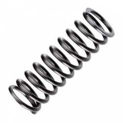 Valve Spring FT120S3/SE