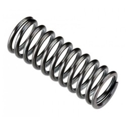 Exhaust Valve Spring FT120S3/SE