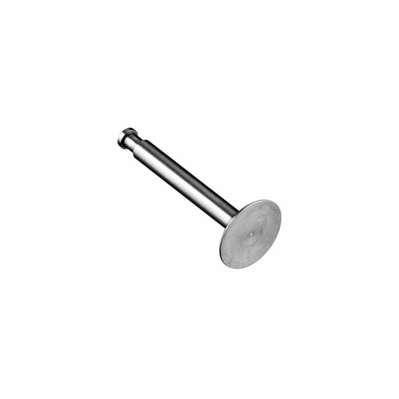 Exhaust Valve FS70S2/91S2