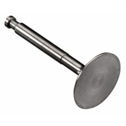 Intake Valve GF30-40