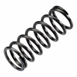 Valve Spring GF30-40