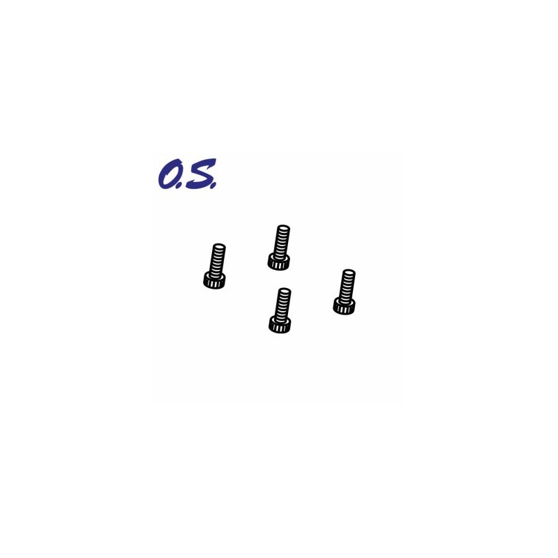 Insexskruv M2.6x8mm (10)