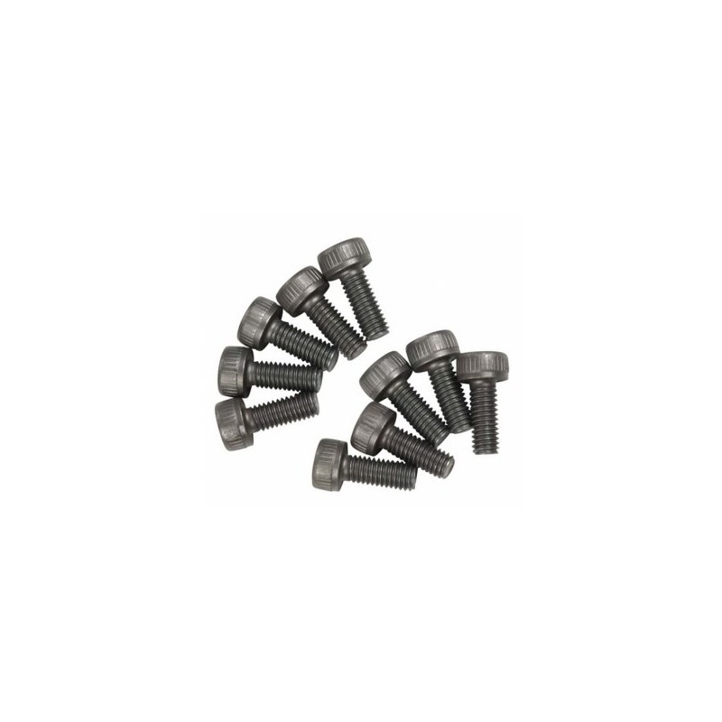 Hex Screw M3x8mm (10)