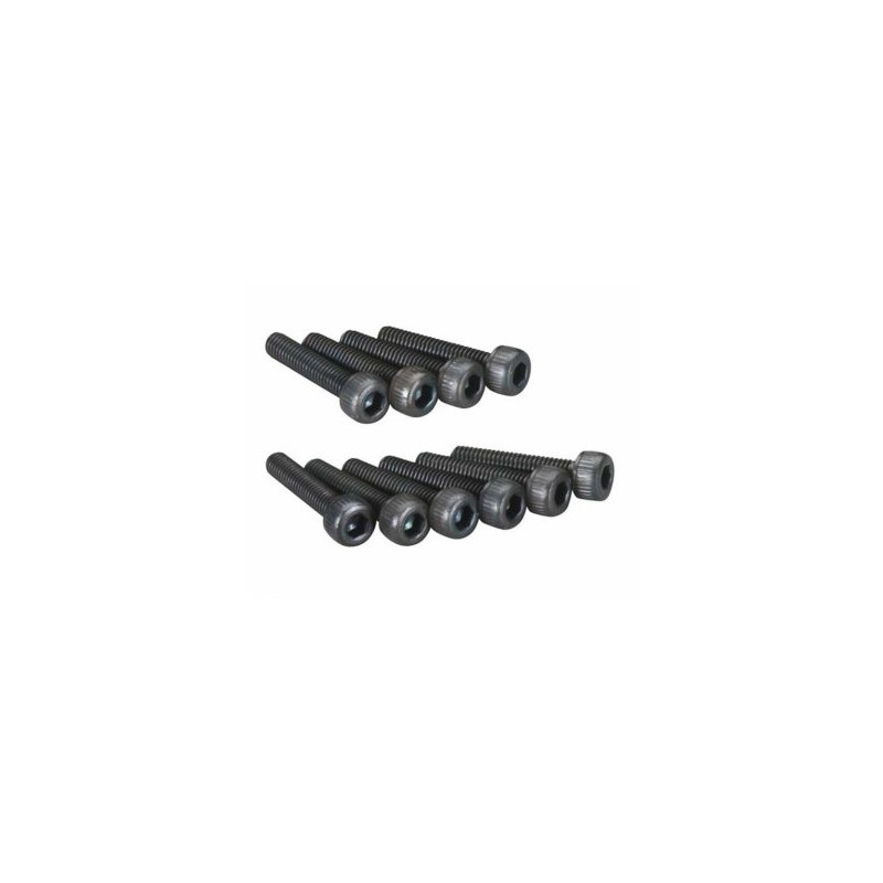 Hex Screw M4x20mm (10)