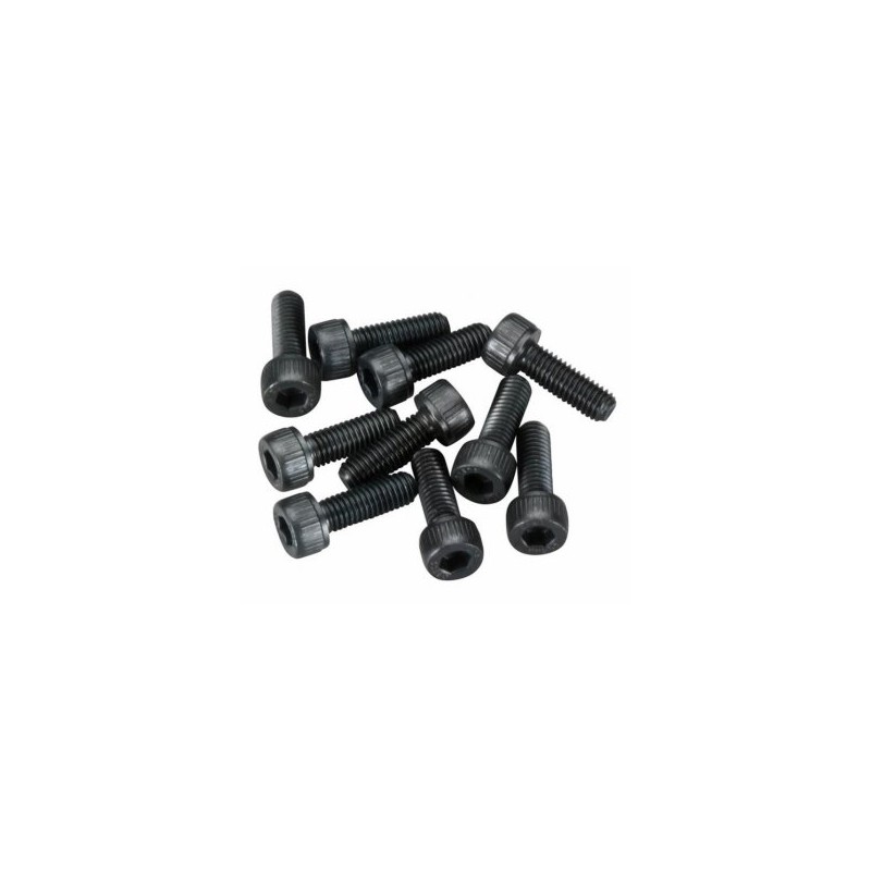 Insexskruv M5x15mm (10)