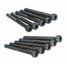 Hex Screw M5x50mm (10)