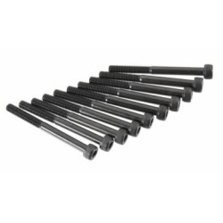 Hex Screw M5x55mm (10)