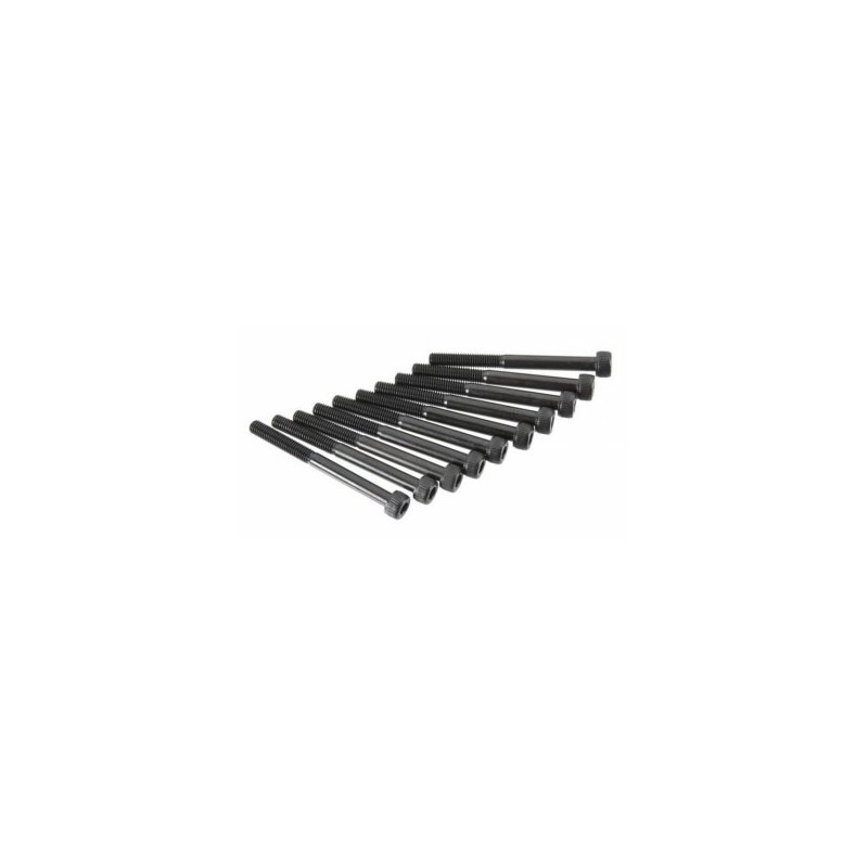 Hex Screw M5x55mm (10)