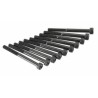 Hex Screw M5x55mm (10)
