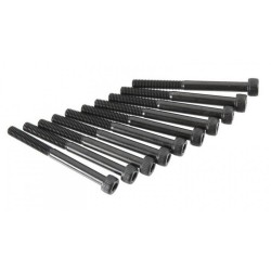 Hex Screw M5x55mm (10)